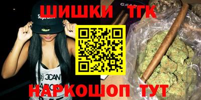 индика Шелехов
