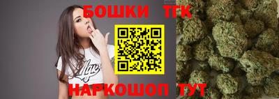 индика Шелехов