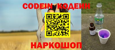 индика Шелехов